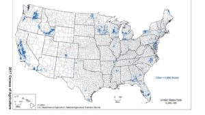 Vegetable Growers Harvested 7% Fewer Acres Than 10 Years Ago [2017 Census of Agriculture]