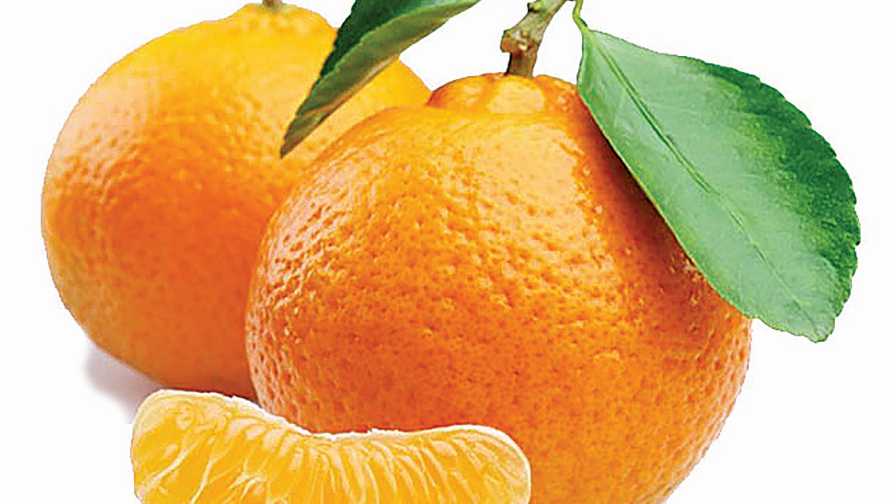 Report: Easy-Peel Citrus Continues To Grow in Popularity
