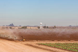 Arizona's sandy loam dominates most ranches.