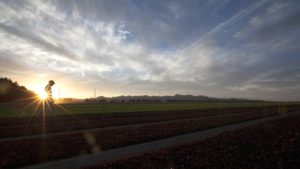 Duncan Family Farms’ Organic Methods that Work in Both the Desert and the Northeast