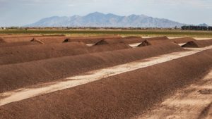 Duncan Family Farms’ Compost in Six Steps
