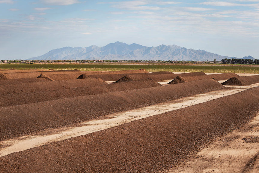 Compost windrows at a Duncan Family Farms Arizona ranch.