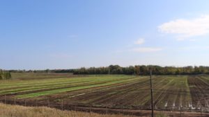 Take a Tour of Duncan Family Farms’ New York Ranches [Slideshow]