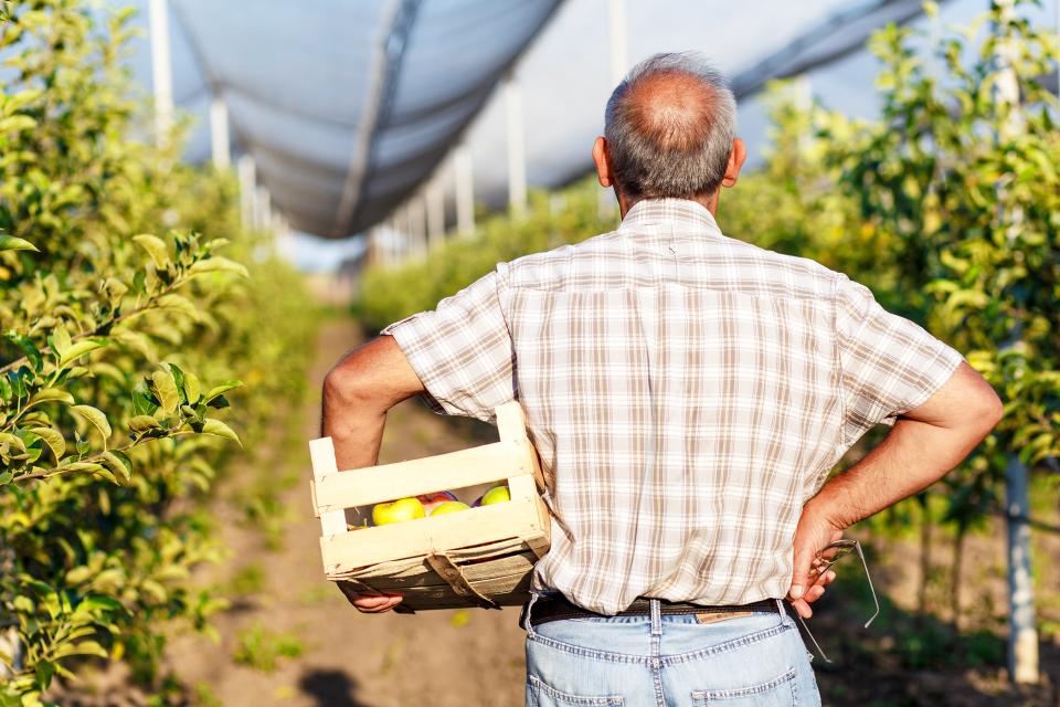 Fruit and Nut Growers Better Batten Down the Hatches