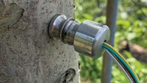 Real-Time Water Data Delivers Big Opportunity for Fruit and Nut Growers