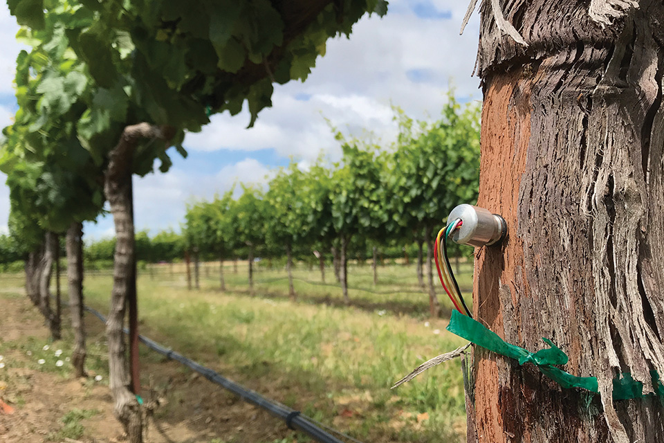 Large Produce Growers Tout the Benefits of Digital Ag Tech
