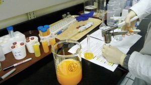 Why Orange-Like Hybrids May Secure Future for Florida Citrus