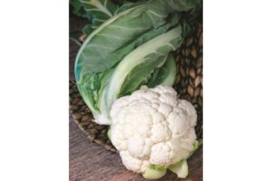 Twister from Sakata Seed America