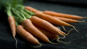 Sakata Seed America Sells Its Carrot Program to Illinois Foundation Seeds