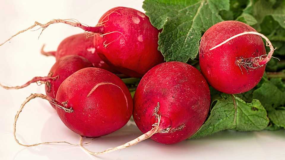 4. Radish