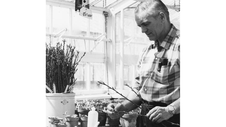 Father of ‘Jonagold’ and ‘Empire’ Apples Passes Away at 100