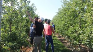 Calling All U.S. Fruit Growers to Take Industry Survey