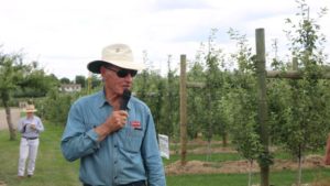 How to Top Off 3 Epic Days of Tree Fruit Exploration