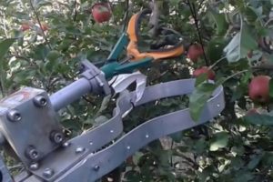 FFRobotics 