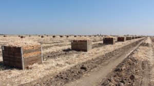 How a Big Farm Guards its Delicate Ecosystem