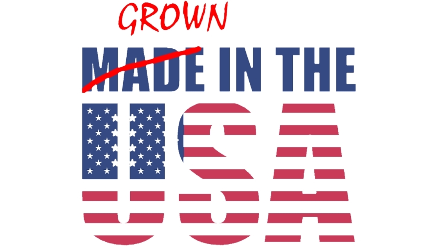 Ideas on How to Boost American Produce from Vegetable Industry Insiders