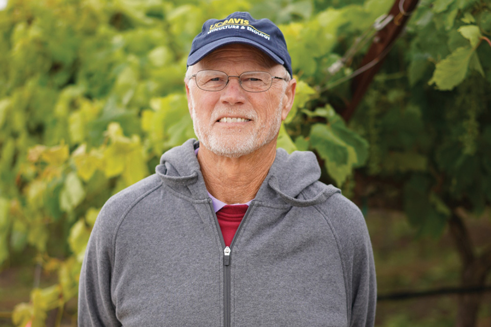 How Knowledge-Based Irrigation Benefits Grape Growing
