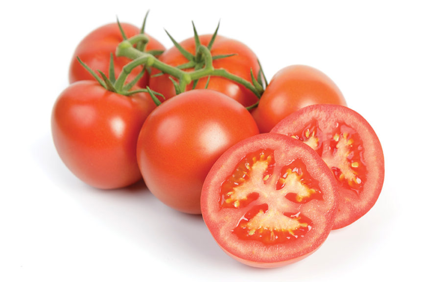 The Top Tomato Varieties for 2019 - Growing Produce