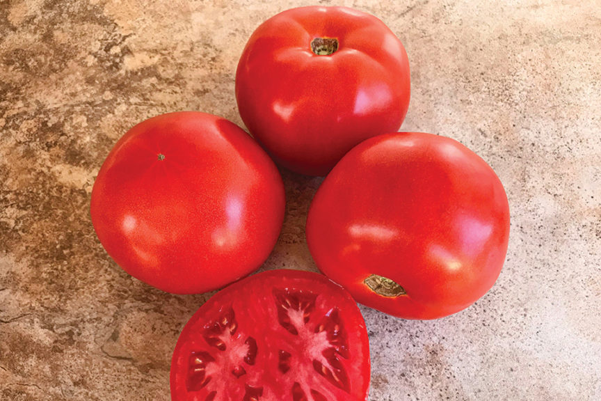 STM2255 from Sakata Seeds