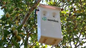 Ag Technology Power Move: Semios To Acquire Agworld