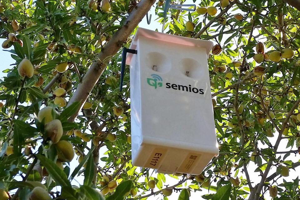 Semios Beefs up Data Collection with Centricity Acquisition