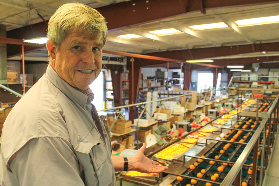 Ways to Succeed in Organic Stone Fruit Production