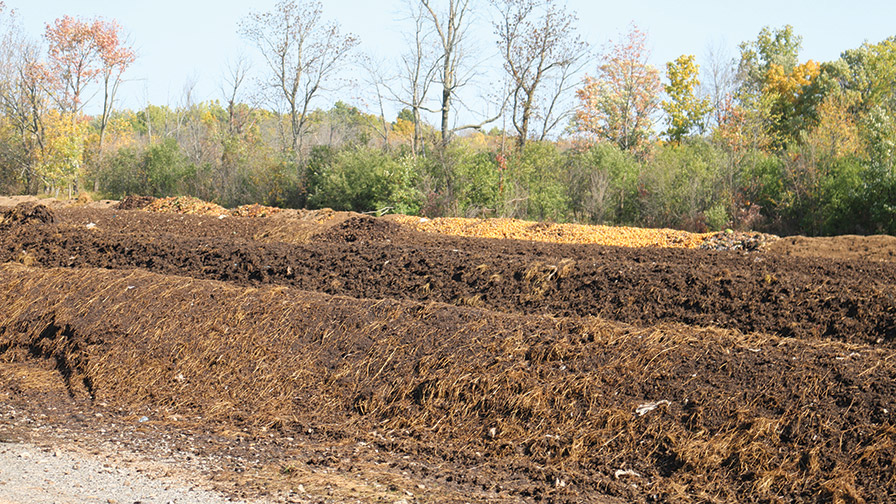 The Unseen Benefits of Improved Soil Health