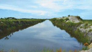 Key STEPS Produce Growers Can Take Toward Cleaner Water on the Farm