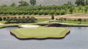 Diversification Critical for 2019 Apple Growers of the Year