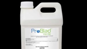New Fungicide Takes on Fruit and Vegetable Diseases Like No Other