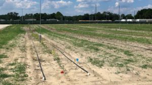 New Lessons from Old Teaching Orchard in Florida