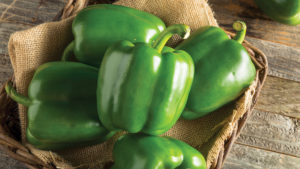 Peppers Topping Breeders’ Lists [Slideshow]
