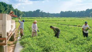 Are You Leaving Money in the Farm Field?