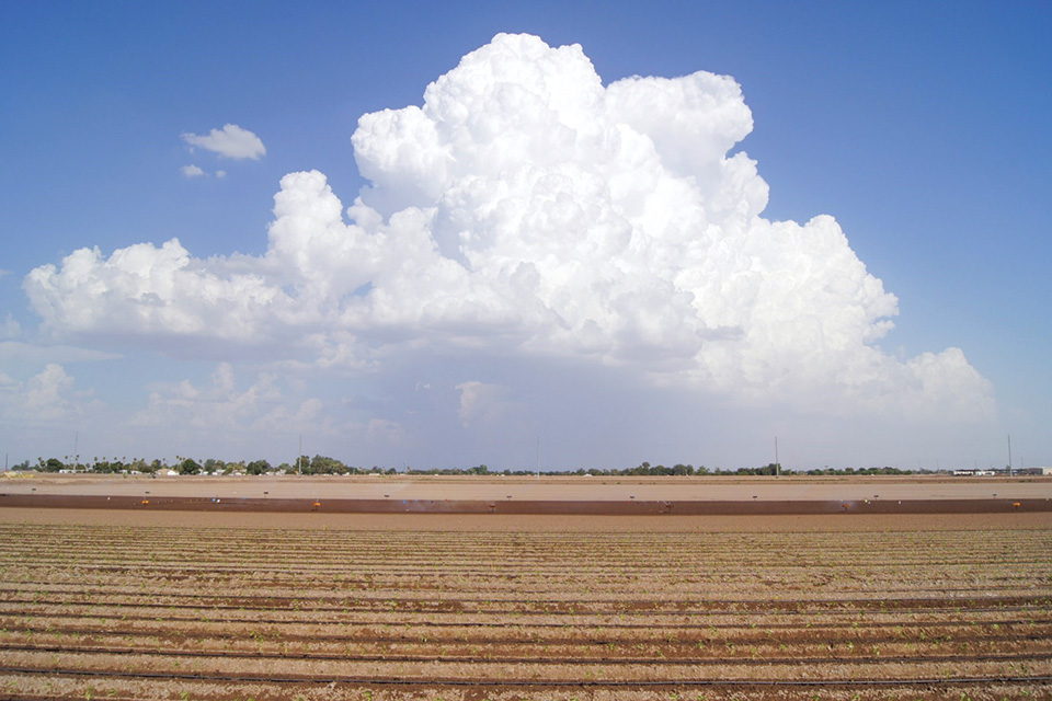 2024 Looking Certain To Be World’s Warmest Year on Record