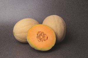 Accolade (Syngenta Vegetable Seeds, Gowan Seed Company)
