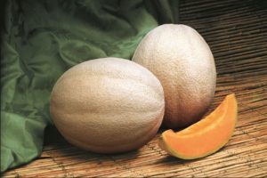 Aphrodite (Syngenta Vegetable Seeds, Gowan Seed Company, Rupp Seeds)