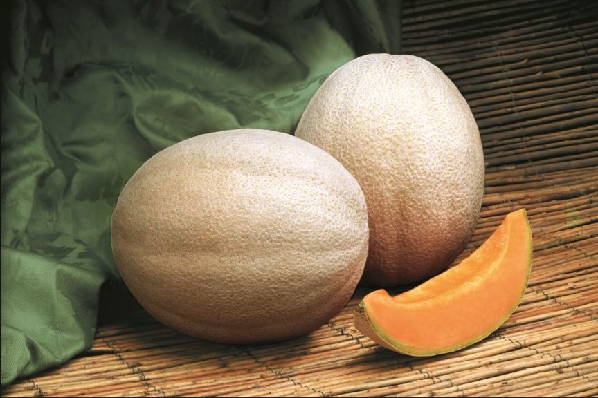 Aphrodite (Syngenta Vegetable Seeds, Gowan Seed Company, Rupp Seeds)