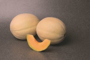 Astound (Syngenta Vegetable Seeds, Gowan Seed Company)