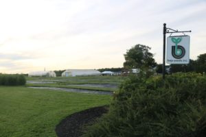 Stop #1: Bejo USA Seed Farm, Geneva. NY