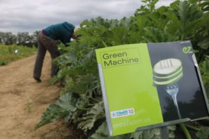 Enza Zaden Green Machine Summer Squash