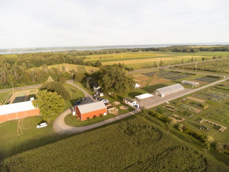 Bejo USA Seed Farm, Geneva NY 