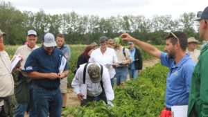 Are Vegetable Seed Trials Still Happening?