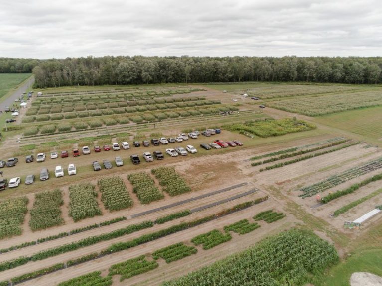 Seneca Vegetable Research Inc 8-27-19-4