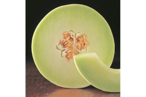 8. Honeydew melon (Clean)
