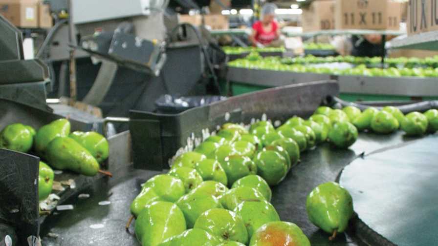 Produce Industry Groups Join Forces in Call for FDA to Reform Its Foods Program