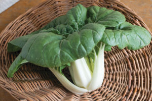Asian Delight from Seed Solutions of America and Johnny’s Selected Seeds 