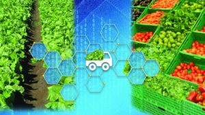 How the Produce Industry Is Modernizing Traceability