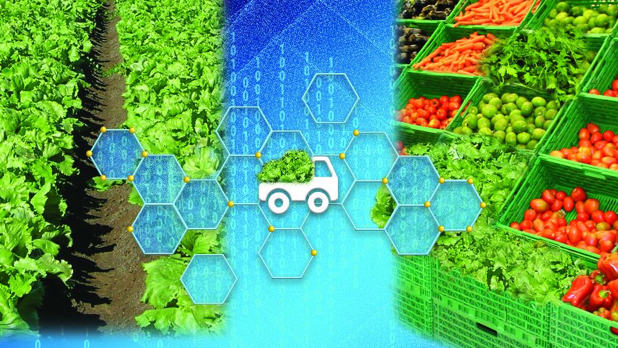 How the Produce Industry Is Modernizing Traceability