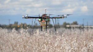 Bee Free! How Growers Can Pollinate with Drones