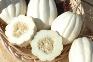 Mashed Potato (Seneca Vegetable Research, Stokes Seeds Inc.)